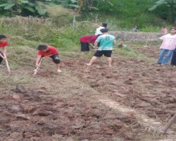 Học sinh làm rãy cỏ vườn rau, xới đất chuẩn bị mùa rau mới